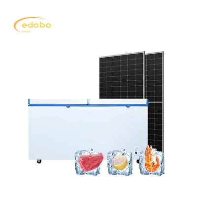 Congélateur solaire DC de grande capacité, congélateur, assurance, usage domestique