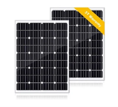 Panneaux solaires 100 W largement utilisés